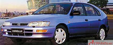 Specifications: Toyota Corolla Hatch VII (E100) 1.3 i XLi (88 Hp) 1992, 1993, 1994, 1995