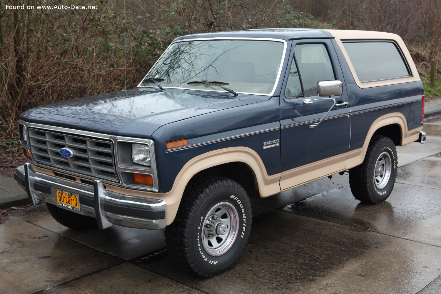 Specifications: Ford Bronco III 4.2 V8 (119 Hp) AWD Automatic 1980, 1981, 1982, 1983, 1984, 1985, 1986